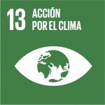 13-accion-por-el-clima