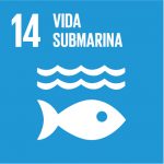 14-vida-submarina