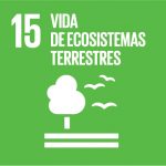 15-de-ecosistemas-terrestres