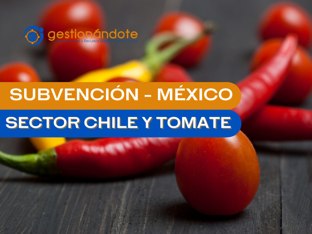 subvencion chile y tomate