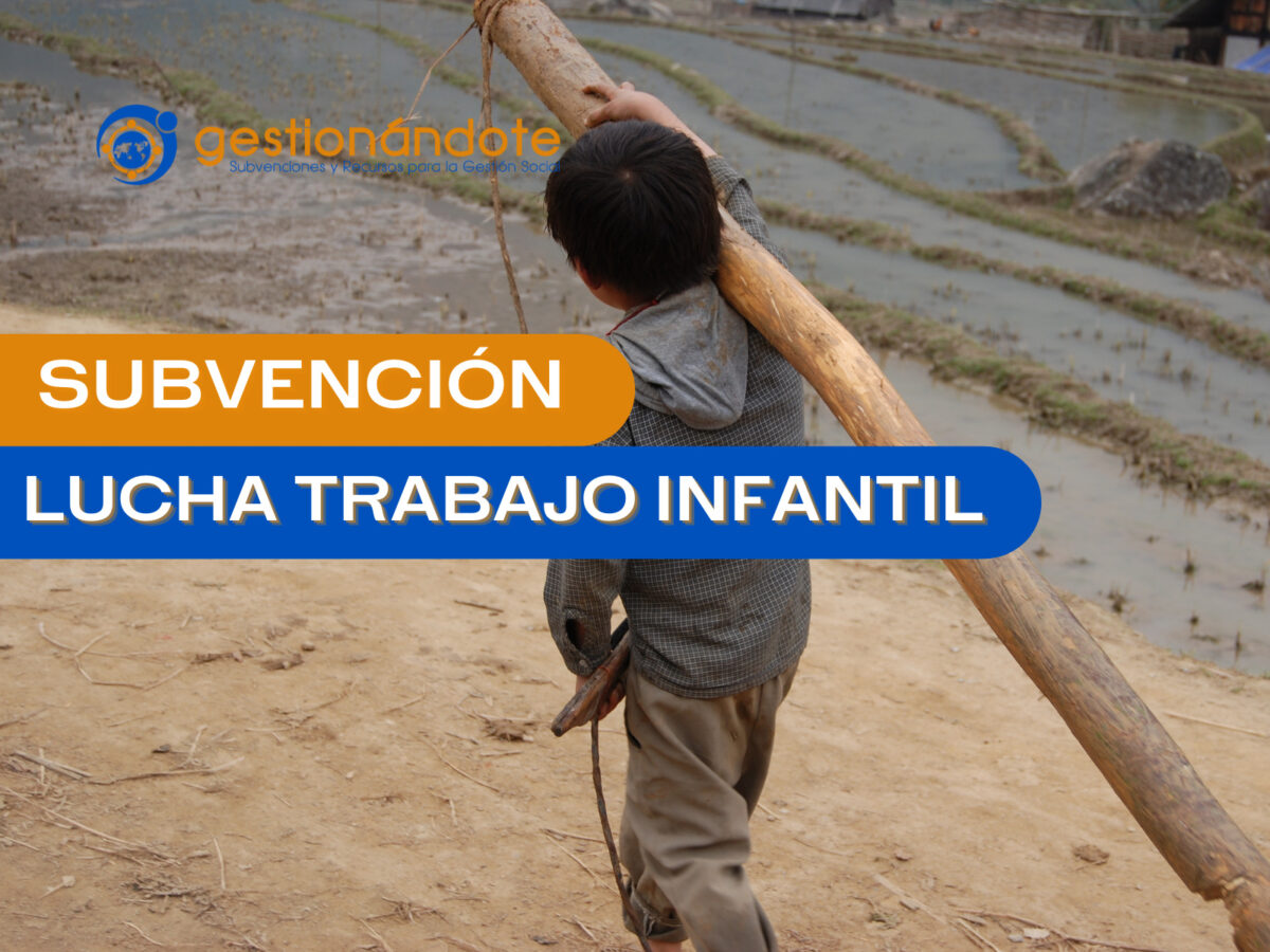 subvencion lucha trabajo infantil