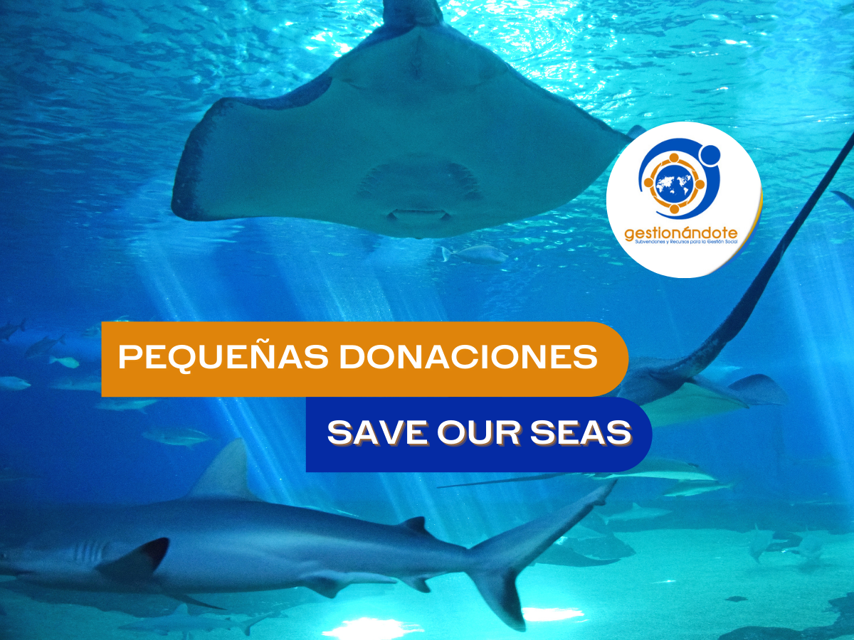 pequeñas donaciones Save Our Seas
