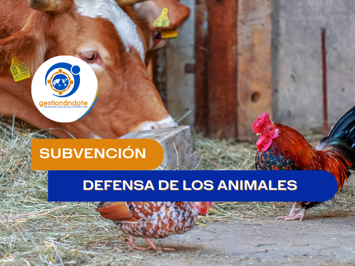 Subvención para la defensa de los animales