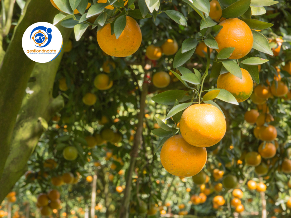 Donación de huertos de Fruit Tree Planting Foundation Gestionándote