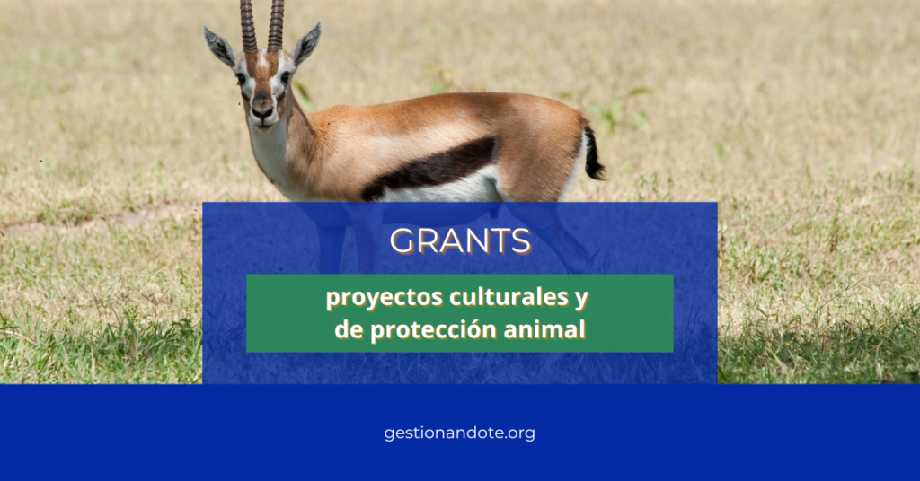 Convocatoria de grants para proyectos culturales y animales